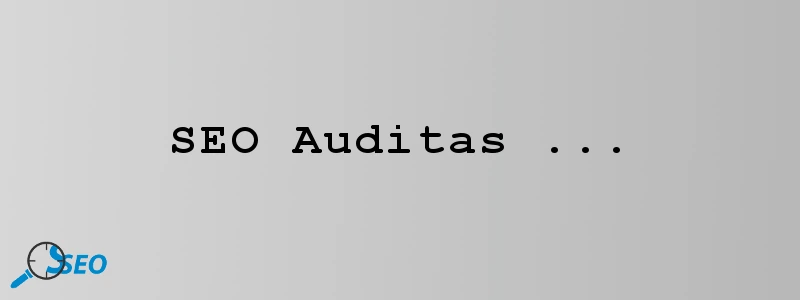SEO auditas