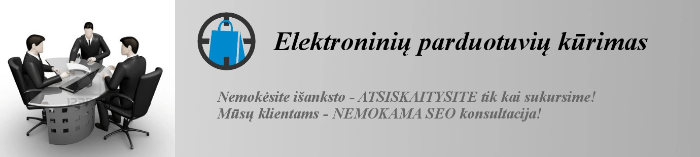 Elektroniniu parduotuviu kurimas